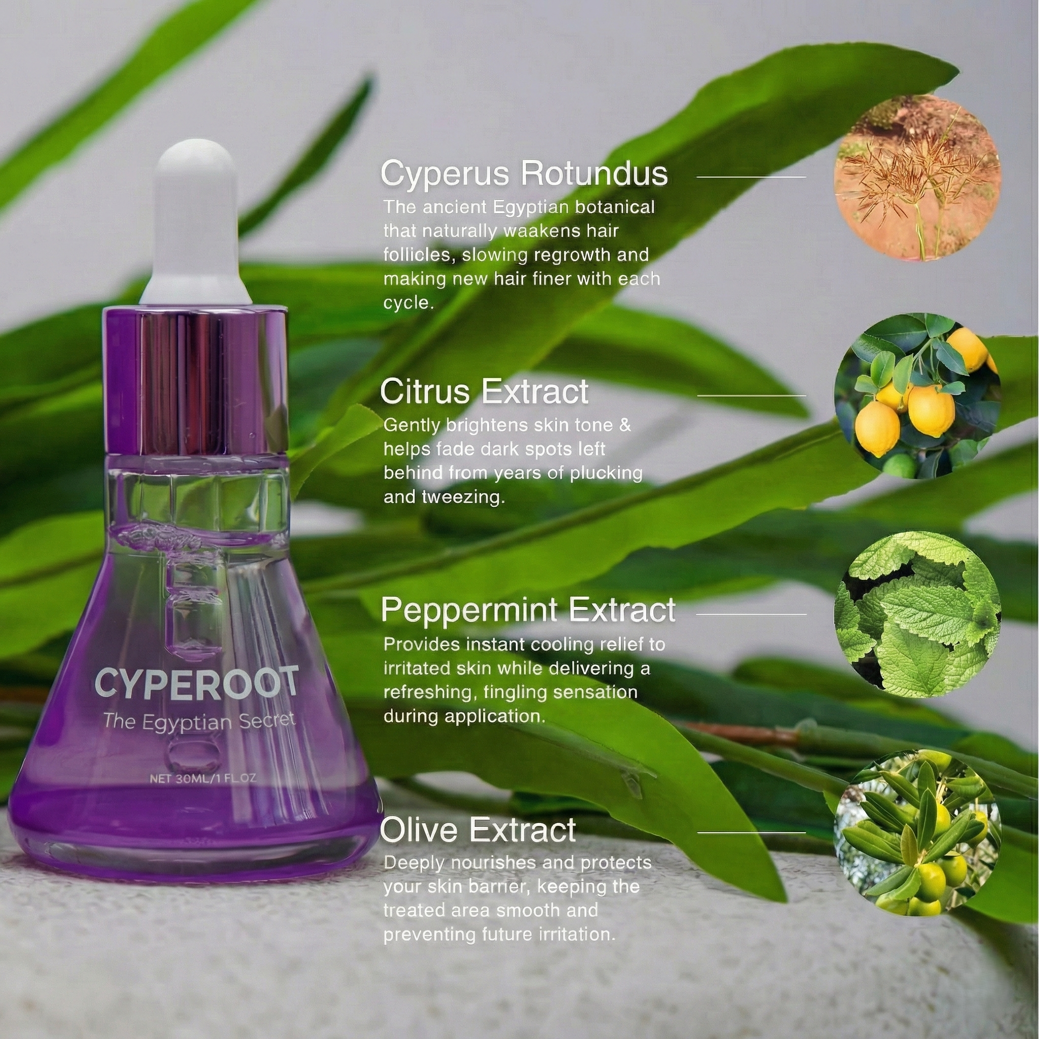 Cyperus Rotundus Skin Serum